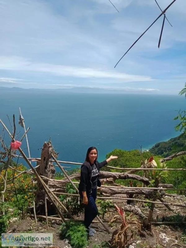 Samal island lot for sale - 2hectares only 19m at lantawan view 