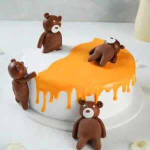 Order cake online & midnight cake delivery in coimbatore