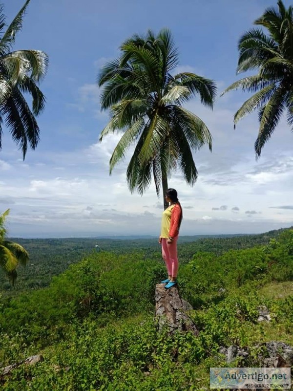 Samal island lot for sale - 2hectares only 19m at lantawan view 