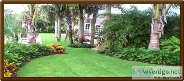 Are You Looking For Lawn Maintenance in TallahasseeContact The L