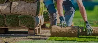 Get Flat 25% Off On Sod installation in Tallahassee