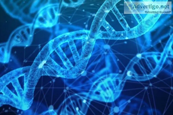 Biology Assignment Writing Service By Proficient Experts