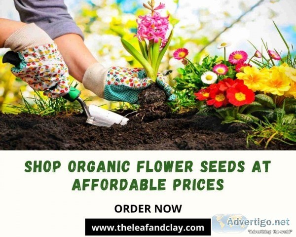 Buy Organic Flower Seeds at Affordable Prices