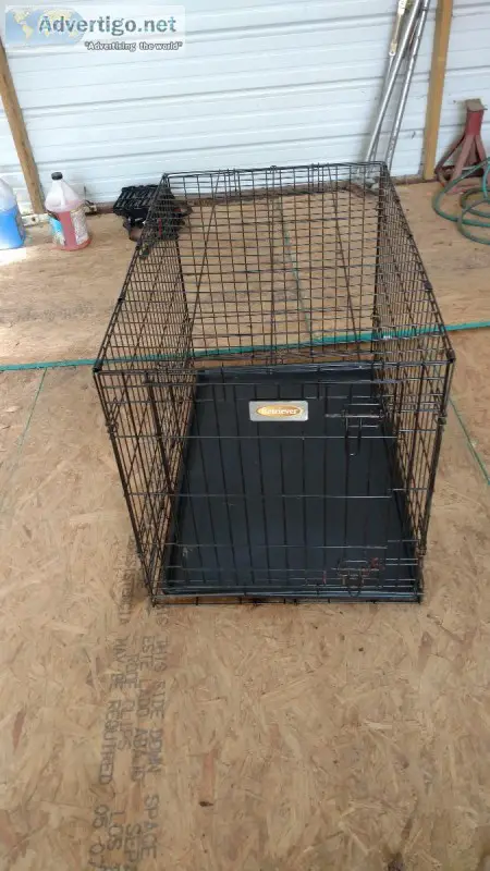 Medium Dog Cage
