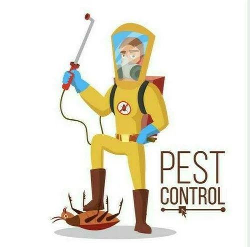 Pest control near me for termites