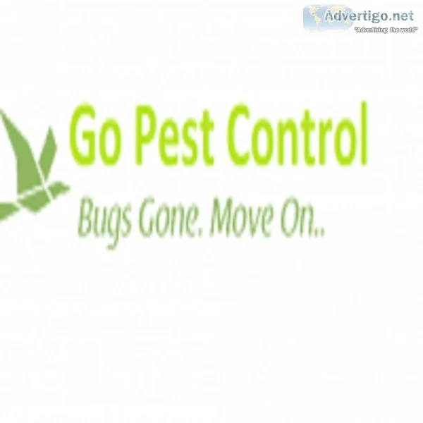 Pest Control Services in Delhi