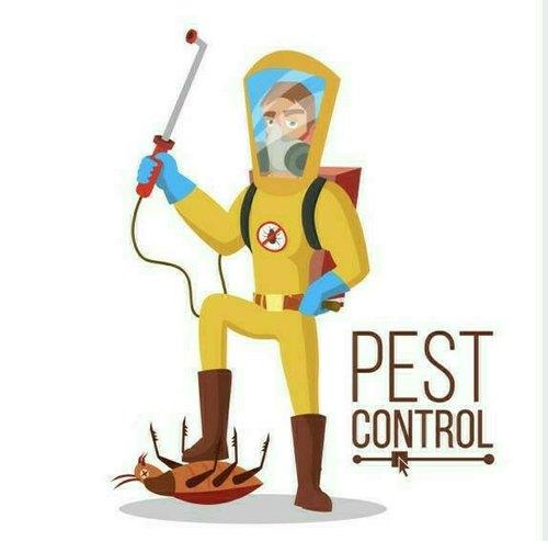 Pest control Rohini