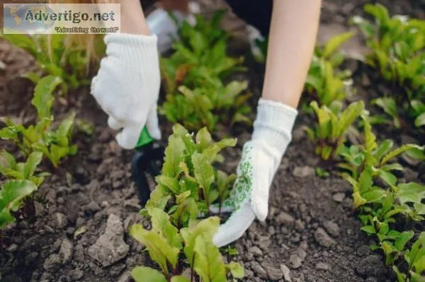 Searching for Landscaping services near Port Angeles