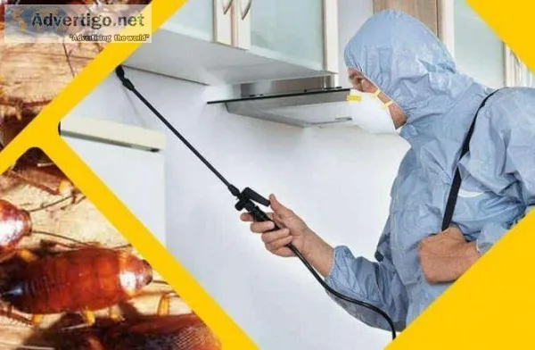 Pest control Noida