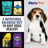 Online Pet Shop In Las Vegas