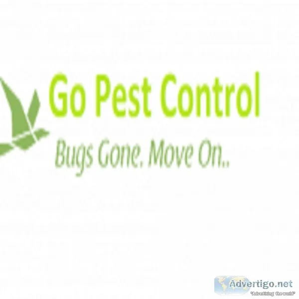 Pest control Gurgaon