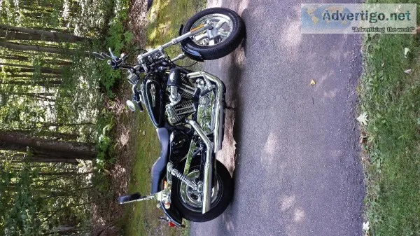 Harley Davidson Sportster 1200 Custom