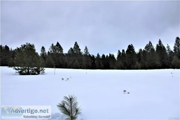 Lightly Treed 5 Acres
