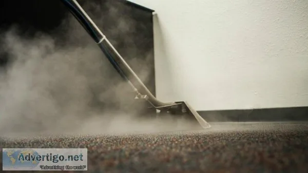Steam Carpet Cleaning