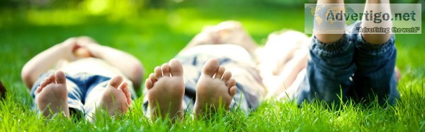 Look for lawn maintenance in tauranga