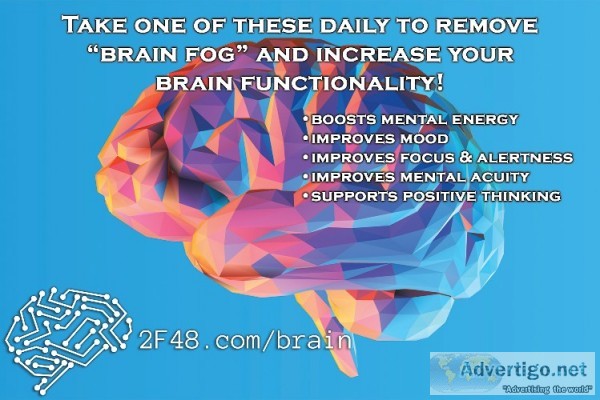 Is your brain feeling slow? lack of focus & feeling foggy?