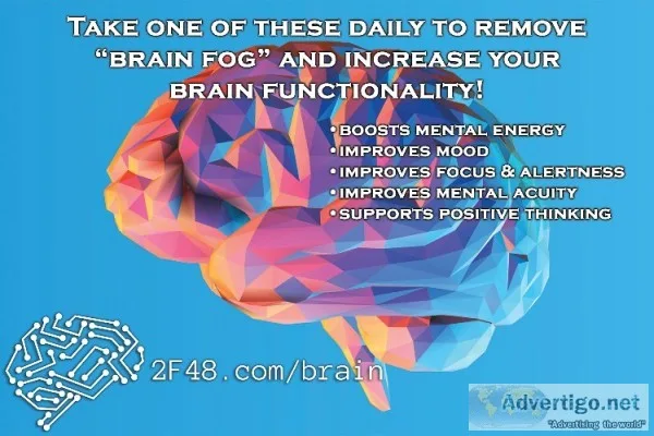 Is your brain feeling slow? lack of focus & feeling foggy?