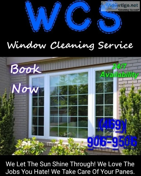 Window Cleaning Service