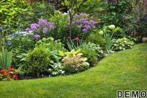 Gardencare Services San Clemente CA