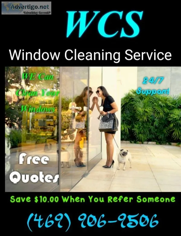 Window Cleaning Service