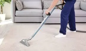 Rug Cleaning Washington Dc