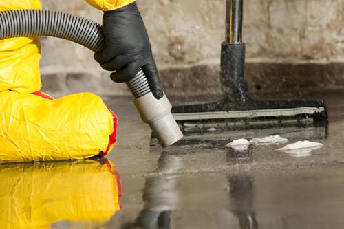 Mould Removal l Mould Removal Brisbane