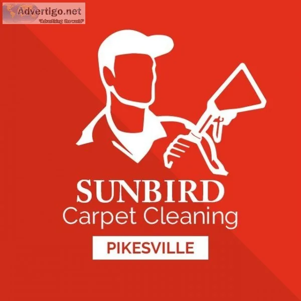 Sunbird Carpet Cleaning Severna Park  Carpet Cleaning Severna Pa