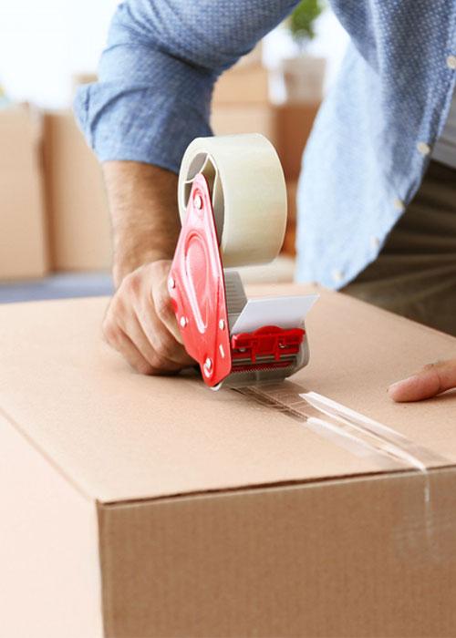 We have packers and movers Do you want any help from us
