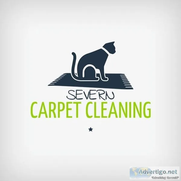 Severn Carpet Cleaning  Carpet Cleaning Severn