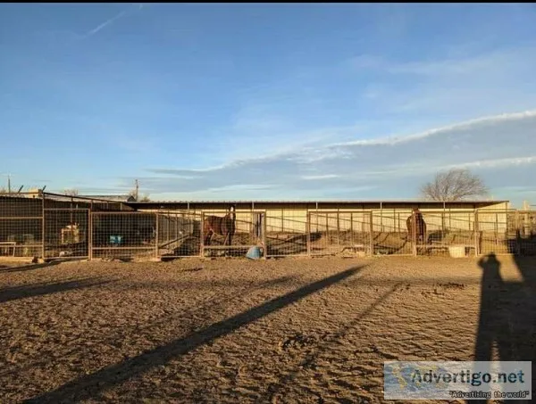 160 Acres Horsecattle setup
