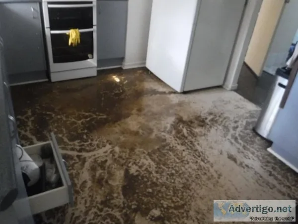 Mould Cleaning l Mould Inspection Brisbane