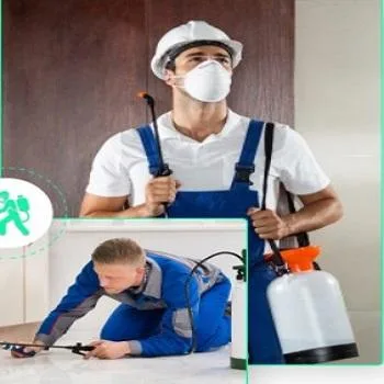 Pest Control Near Me  Thepestandtermitecom pany.com.au
