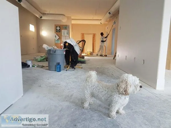 Anti Corrosive Coatings and Paints Pre-Coat
