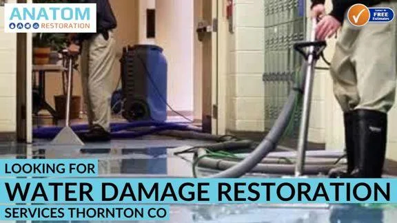 Looking for Water Damage Restoration Service at Thornton CO