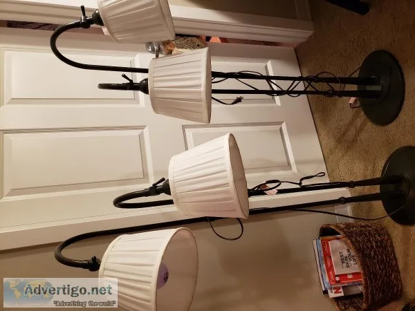 Two Sofa floor lamps