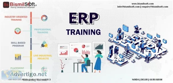 Online ERP Training
