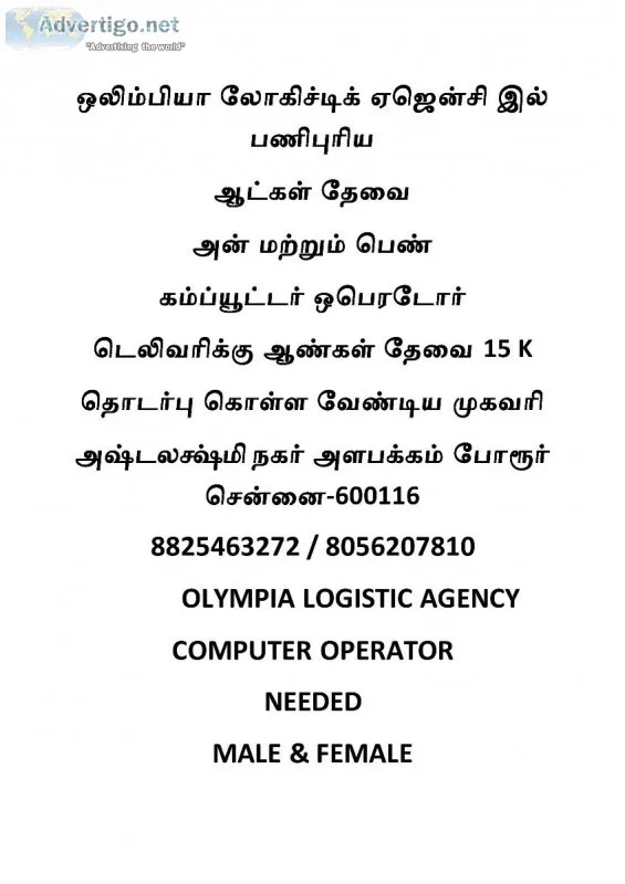 AccountantComputer OperatorDelivery Boy Needed
