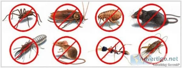 On Time Pest Control Werribee