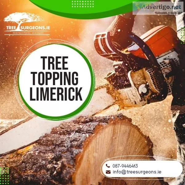 Rely on Professional Arborist in Limerick