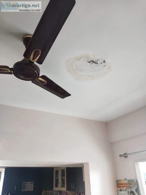 Waterproofing contractors Services in Chennai