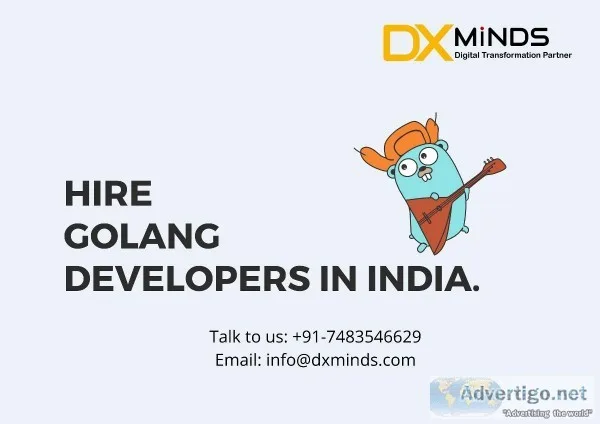 Hire Golang Developers in India  DxMinds