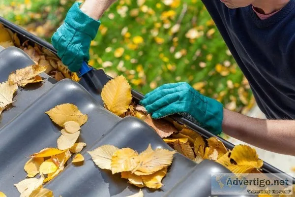 Window and Gutter Cleaning Services in Bridgewater MA