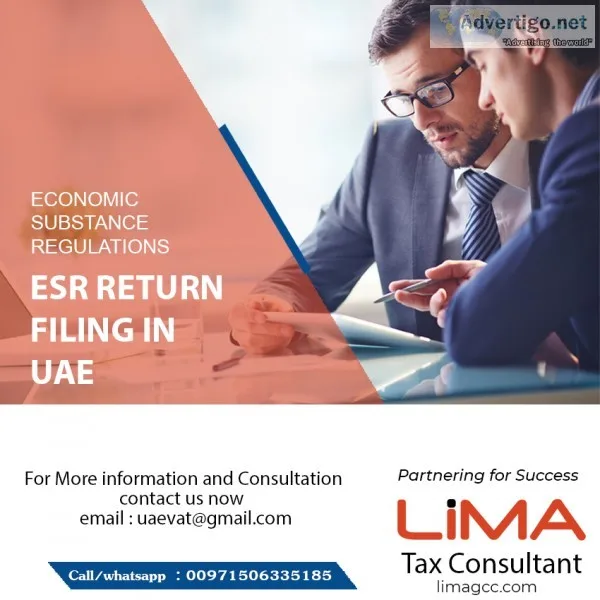 Esr return filing in uae