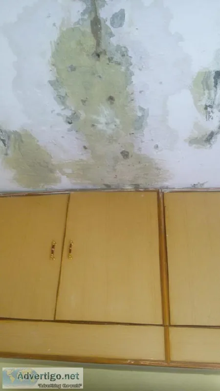 Roof leakage Waterproofing Contractors in Chennai
