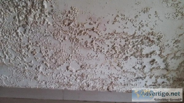 Sump Water Tank Waterproofing Services