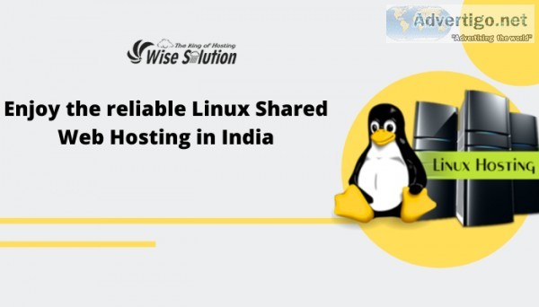 Enjoy the reliable Linux Shared Web Hosting in India