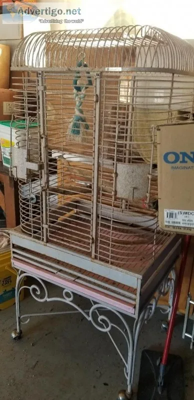Birds cage