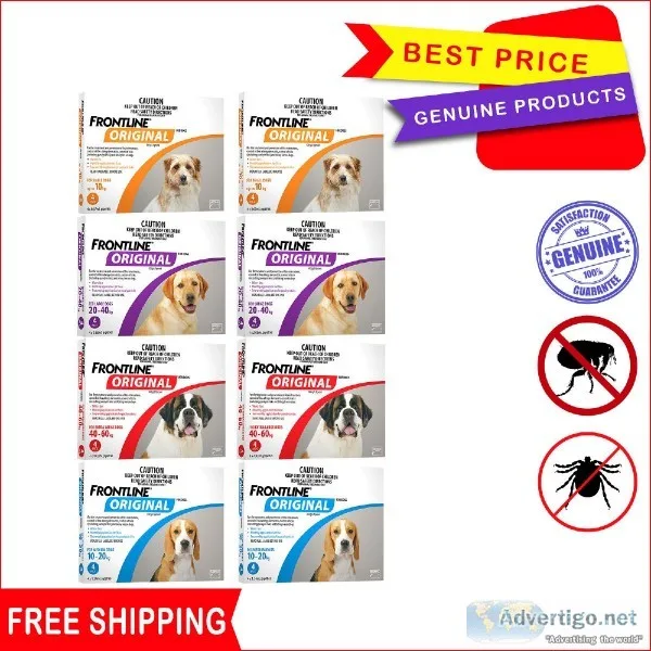 If you want to get rid of the dogs  fleas and ticks try Frontlin
