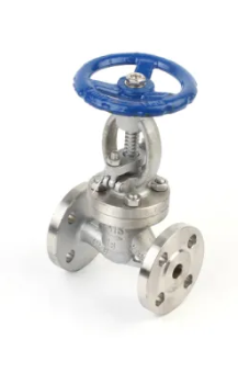 Stainless Steel Gate Valve Manufacturer