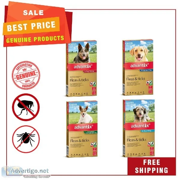 Advantix is a great flea and tick preventative.